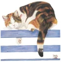 Fence Kitty