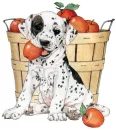 Apple Pup