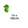 "I'm A Ninja"