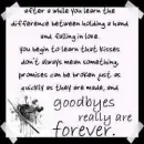 goodbyes really are forever