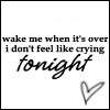 Wake me up when it's over I don't feel like crying tonight