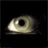 eye