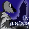 raven