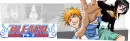 bleach banner 