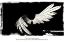 angle wings
