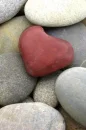 rock of love