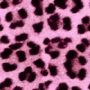 leopard print flash 