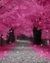 love nature