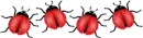 lady bug border