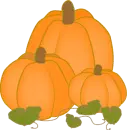 pumpkins