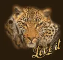 love it tiger