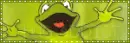 frog hugs
