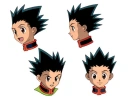 Gon Furikusu