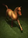 running horse