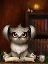 owl