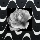 Black and White
