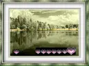 Swamp