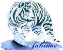 White tiger - Julienne