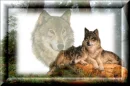 Wolves