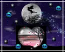 Night