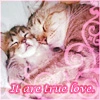 it's are true love
