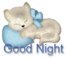 good night