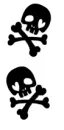 skull