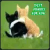 best friends