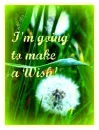 Make a wish
