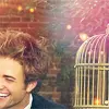 Robert pattison