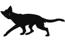Black Cat