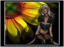 sunflower colours