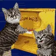 cat singing 