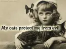 my cat  protects me