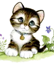 cute cat
