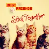 friends
