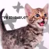 i am adorable