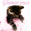 glamor kitty