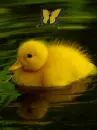 so cute