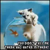you didn't tell me !