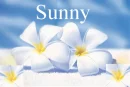 Sunny