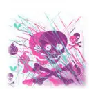 skull