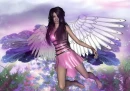 Pink Fairy