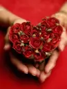 rose heart