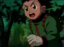 hunterxhunter