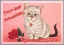 Kitten Purr-fect Friend