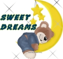 Bear sweet dreams