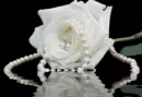White rose with pearls