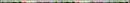 flower divider