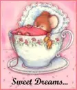 Sweet dreams mouse